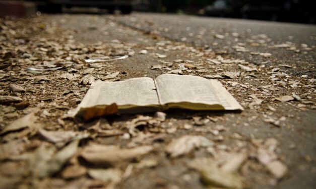 Wniebowzięcie N.M.P., Z „księgą życia” do niebia