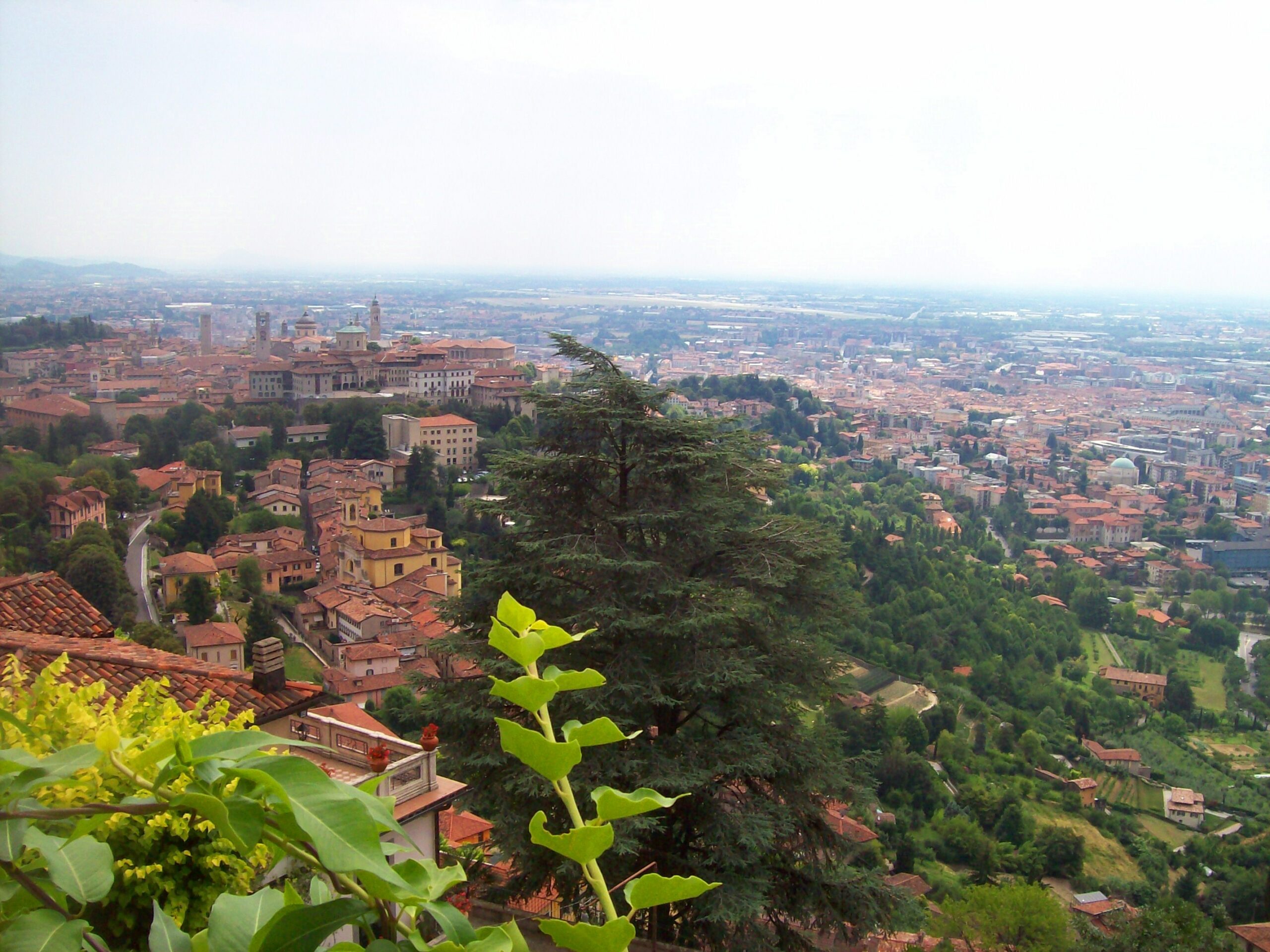 Bergamo