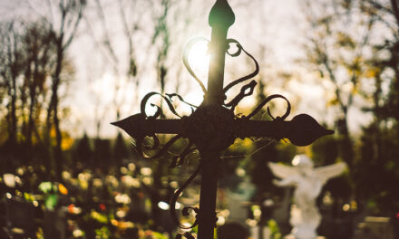 Ogłoszenia, 31 N. zwykła, Wspomnienie wszystkich wiernych zmarłych, Essendon, Richmond i Oakleigh, 2 Listopada 2025 roku