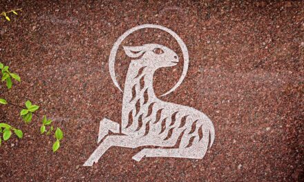 Ogłoszenia, Druga Niedziela zwykła, Essendon, Richmond i Oakleigh, 18 stycznia 2026 roku