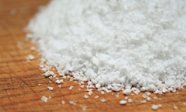 Ogłoszenia, 5 Niedziela zwykła, Essendon, Richmond i Oakleigh, 8 lutego 2026 roku