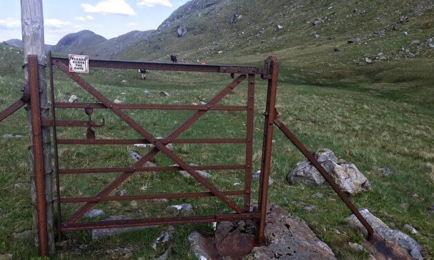 Ogłoszenia, 4 N. Wielkanocna, Essendon, Richmond i Oakleigh, 26 kwietnia 2026 roku