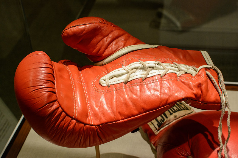 Cezar w bokserskich rękawicach, s. Gosia Pomersbach MChR